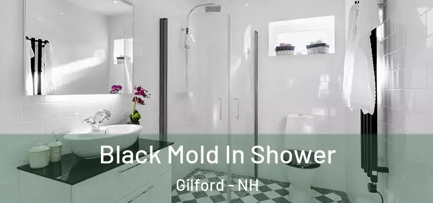  Black Mold In Shower Gilford - NH