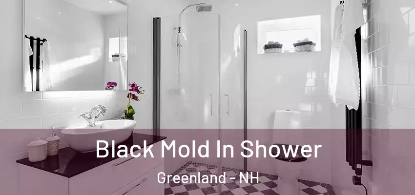 Black Mold In Shower Greenland - NH