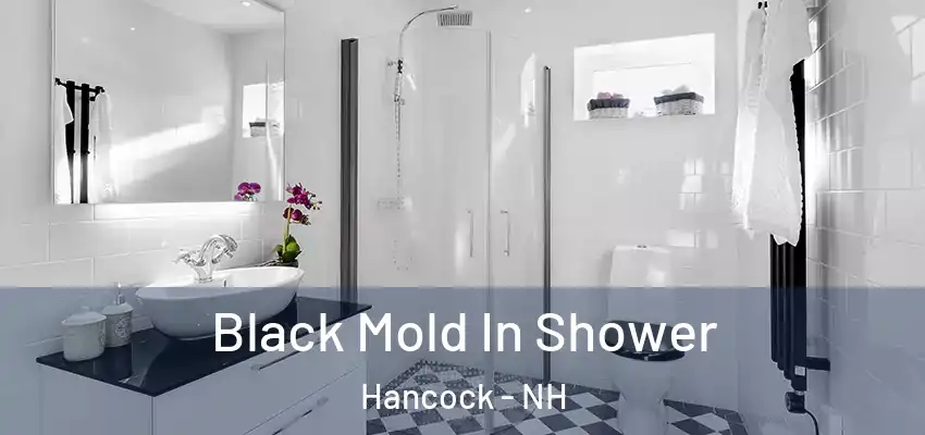  Black Mold In Shower Hancock - NH
