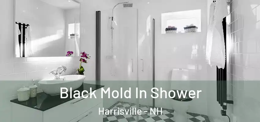  Black Mold In Shower Harrisville - NH
