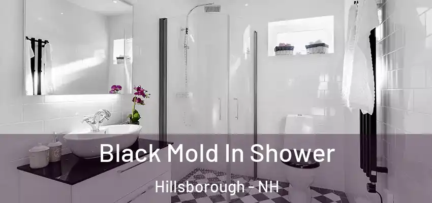 Black Mold In Shower Hillsborough - NH