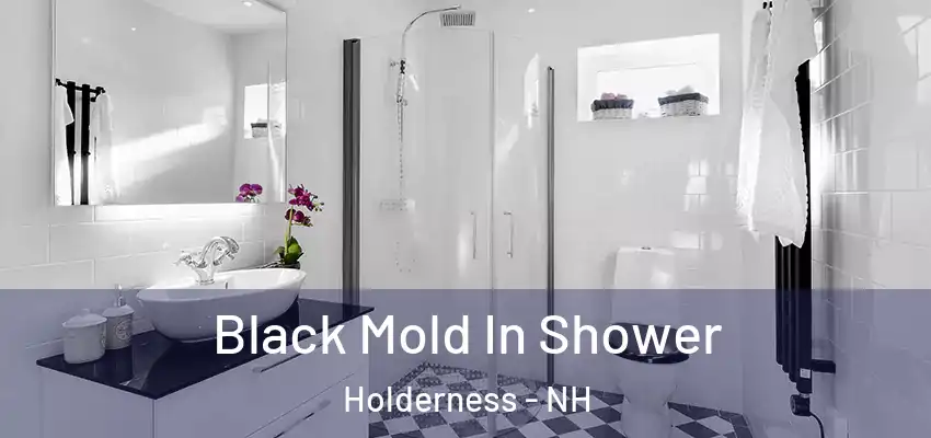  Black Mold In Shower Holderness - NH