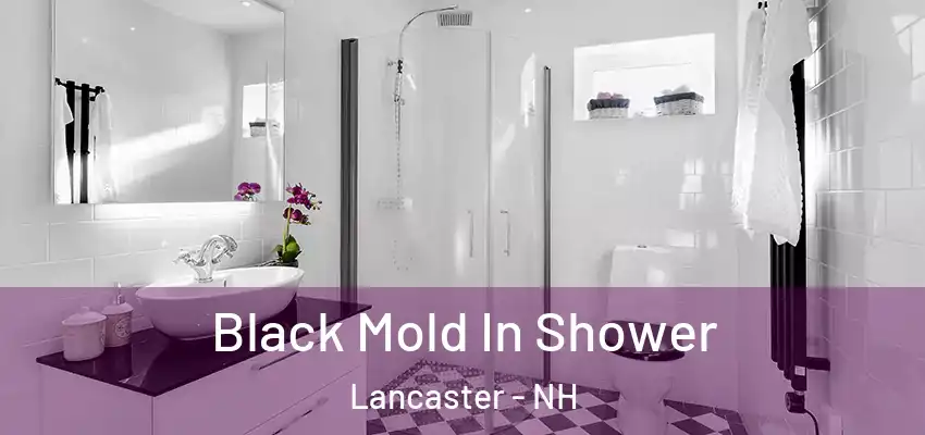 Black Mold In Shower Lancaster - NH