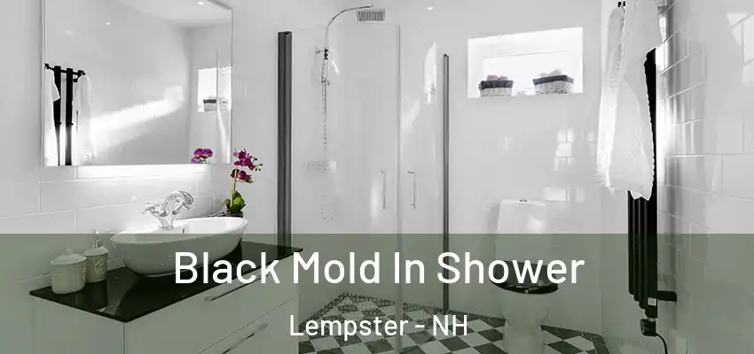  Black Mold In Shower Lempster - NH