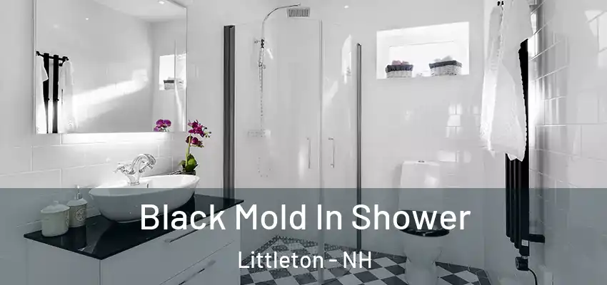  Black Mold In Shower Littleton - NH