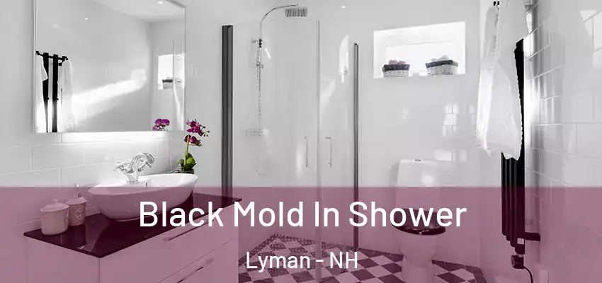  Black Mold In Shower Lyman - NH
