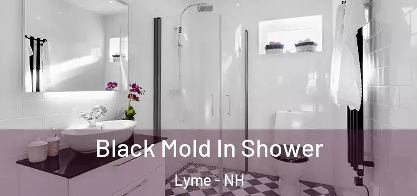  Black Mold In Shower Lyme - NH