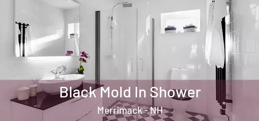  Black Mold In Shower Merrimack - NH