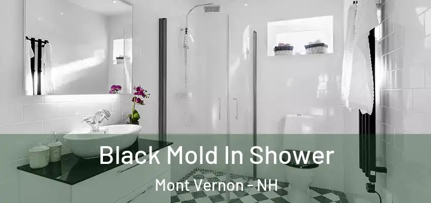 Black Mold In Shower Mont Vernon - NH