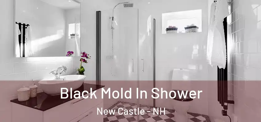  Black Mold In Shower New Castle - NH