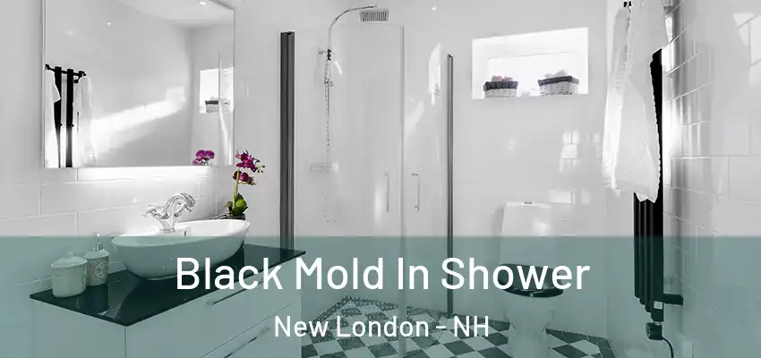 Black Mold In Shower New London - NH
