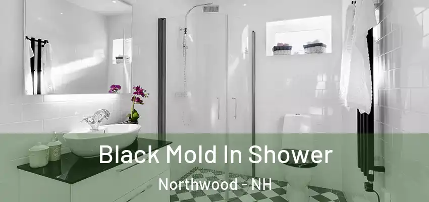 Black Mold In Shower Northwood - NH