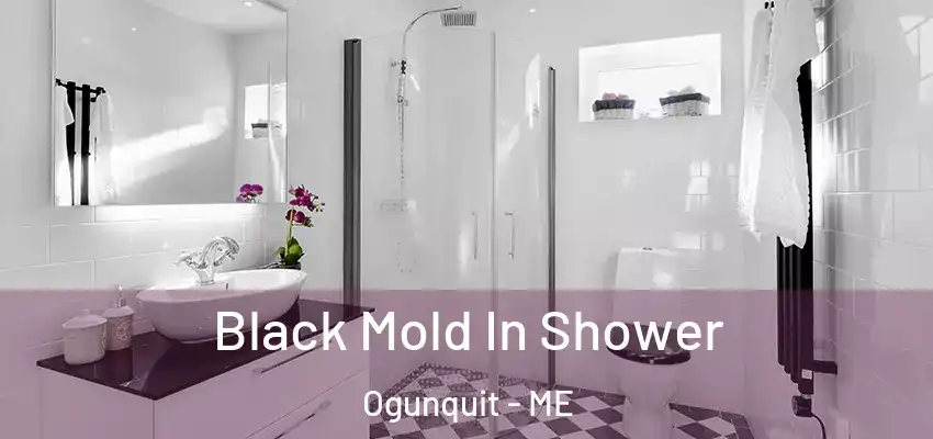 Black Mold In Shower Ogunquit - ME