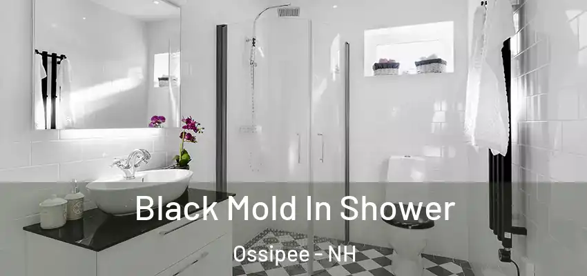  Black Mold In Shower Ossipee - NH