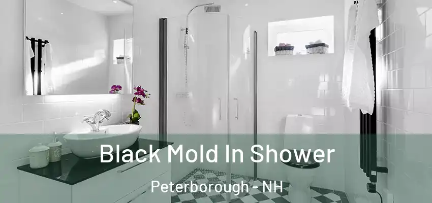  Black Mold In Shower Peterborough - NH