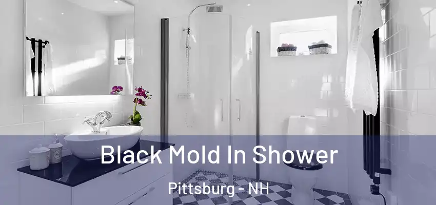  Black Mold In Shower Pittsburg - NH