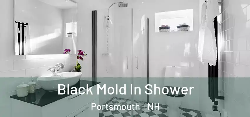 Black Mold In Shower Portsmouth - NH
