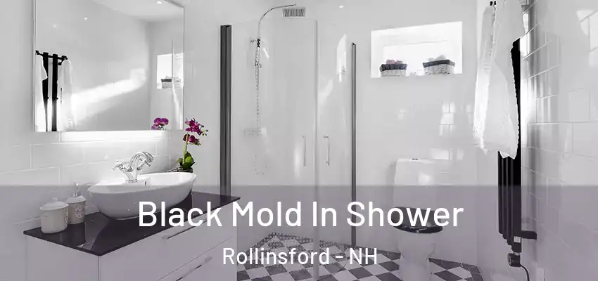  Black Mold In Shower Rollinsford - NH