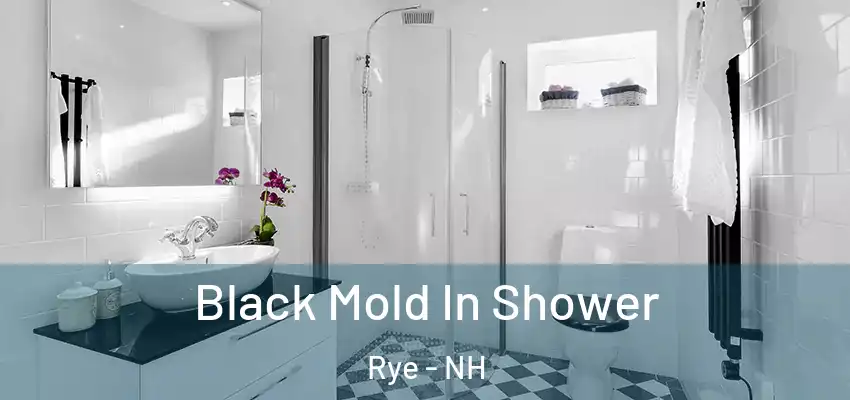  Black Mold In Shower Rye - NH