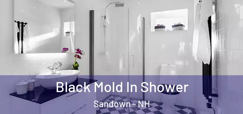  Black Mold In Shower Sandown - NH