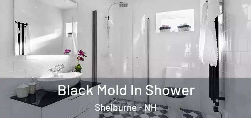  Black Mold In Shower Shelburne - NH