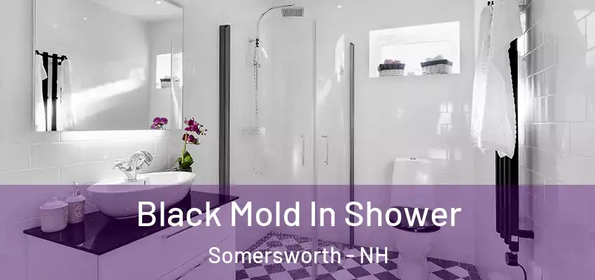Black Mold In Shower Somersworth - NH