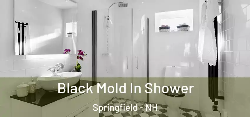  Black Mold In Shower Springfield - NH