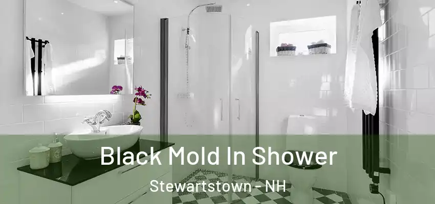 Black Mold In Shower Stewartstown - NH