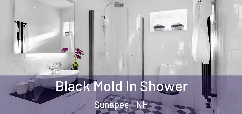  Black Mold In Shower Sunapee - NH