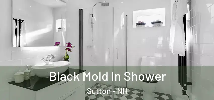 Black Mold In Shower Sutton - NH
