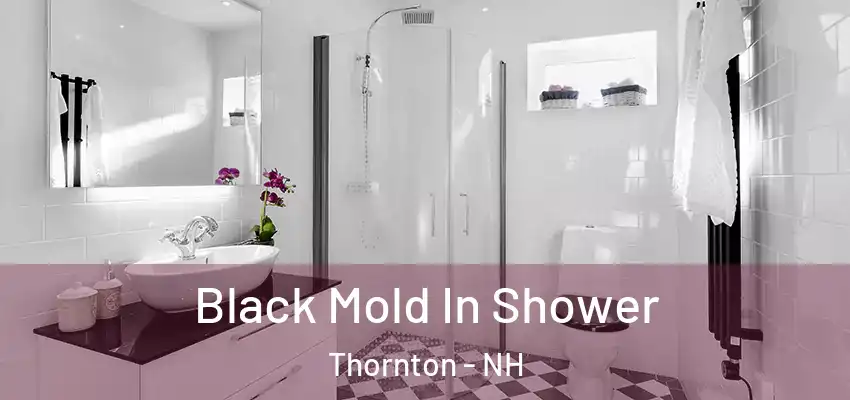  Black Mold In Shower Thornton - NH