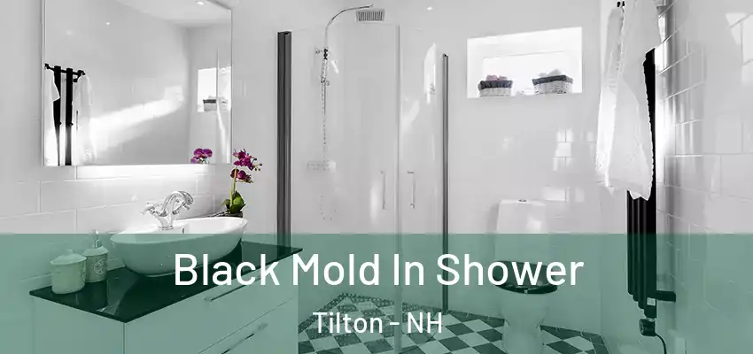  Black Mold In Shower Tilton - NH