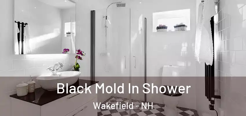  Black Mold In Shower Wakefield - NH