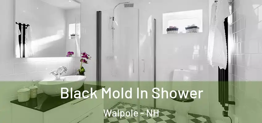  Black Mold In Shower Walpole - NH