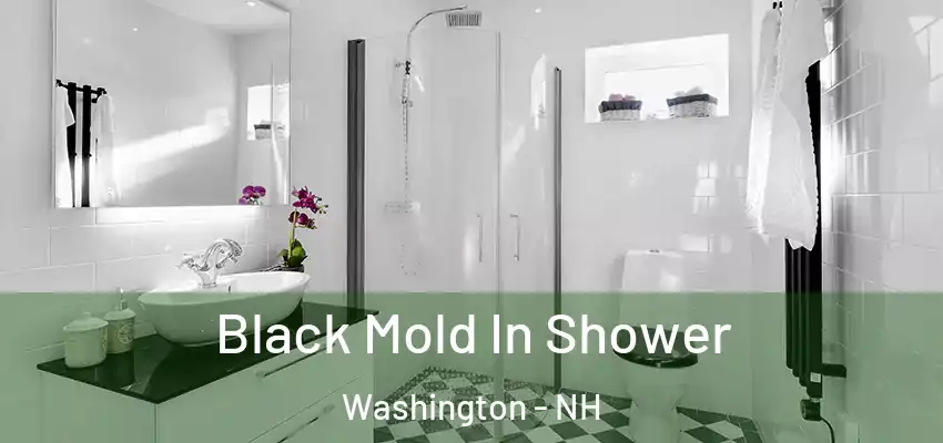  Black Mold In Shower Washington - NH