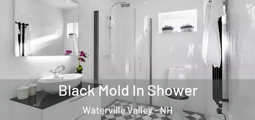  Black Mold In Shower Waterville Valley - NH
