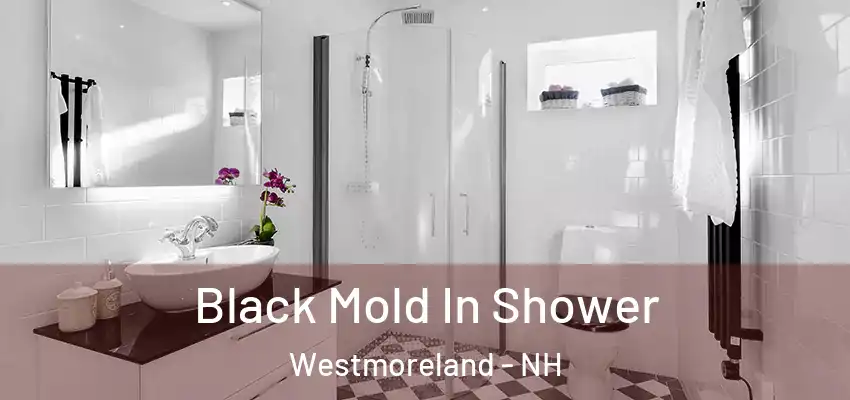 Black Mold In Shower Westmoreland - NH