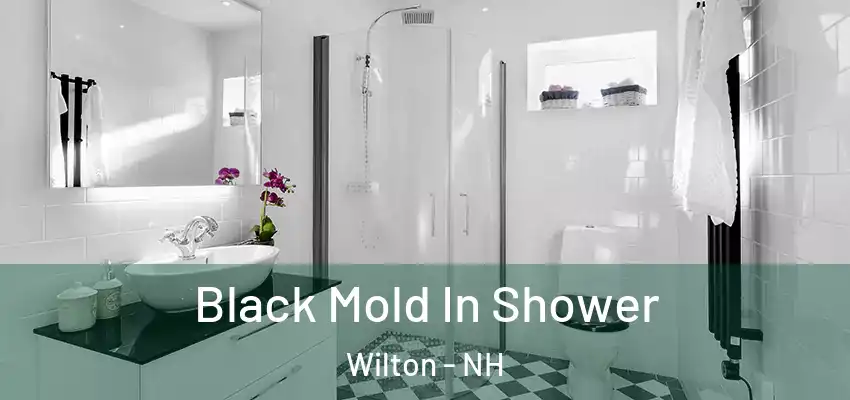  Black Mold In Shower Wilton - NH