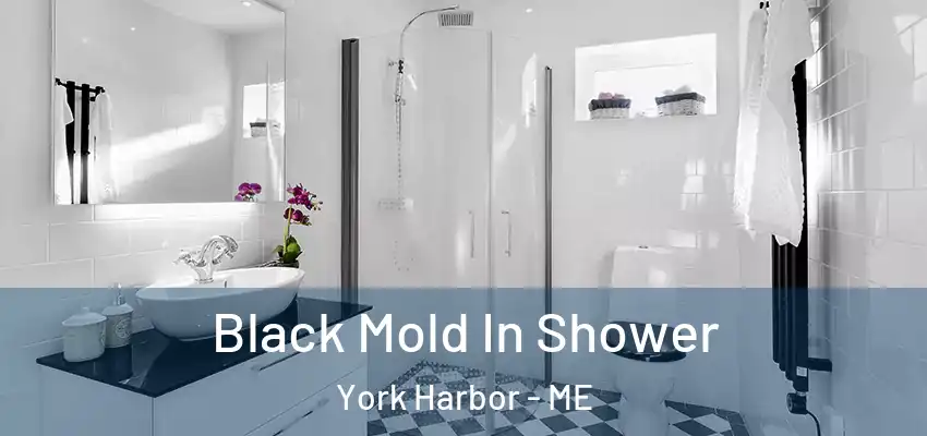  Black Mold In Shower York Harbor - ME