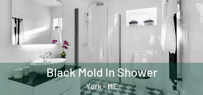  Black Mold In Shower York - ME