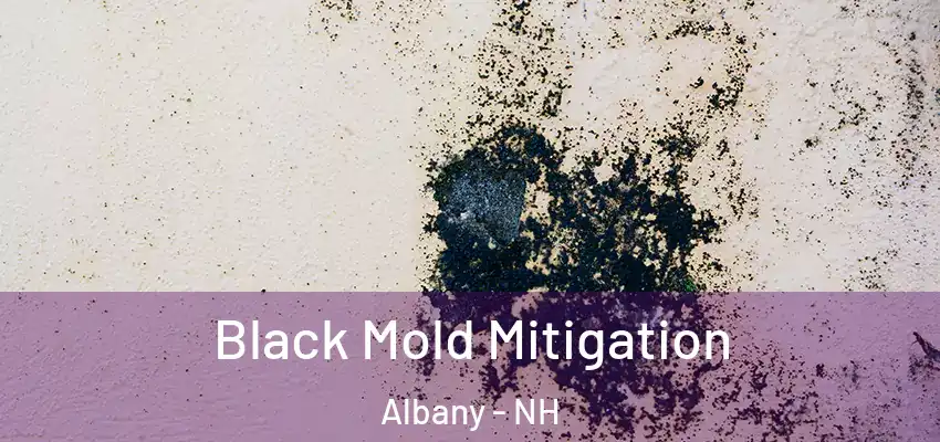  Black Mold Mitigation Albany - NH