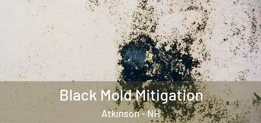  Black Mold Mitigation Atkinson - NH