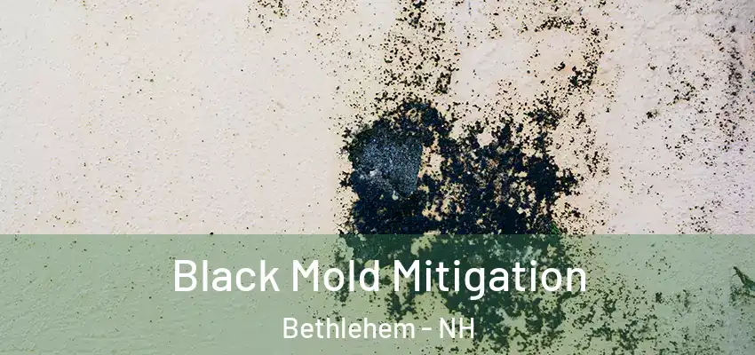  Black Mold Mitigation Bethlehem - NH