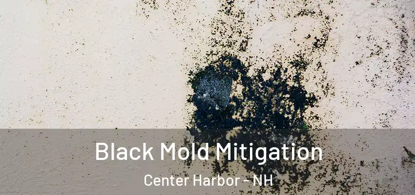  Black Mold Mitigation Center Harbor - NH