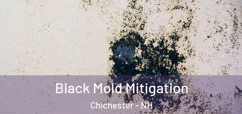  Black Mold Mitigation Chichester - NH