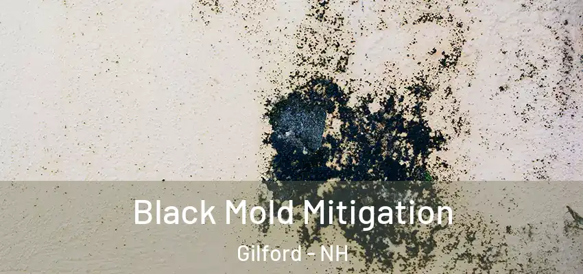  Black Mold Mitigation Gilford - NH