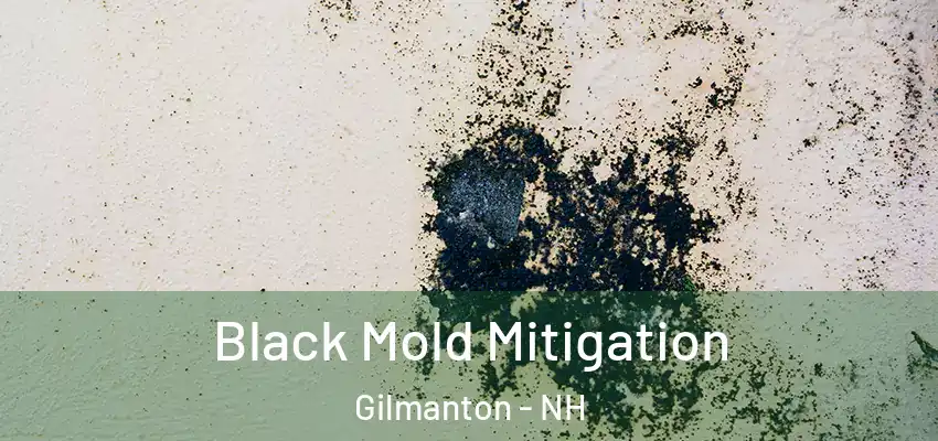  Black Mold Mitigation Gilmanton - NH