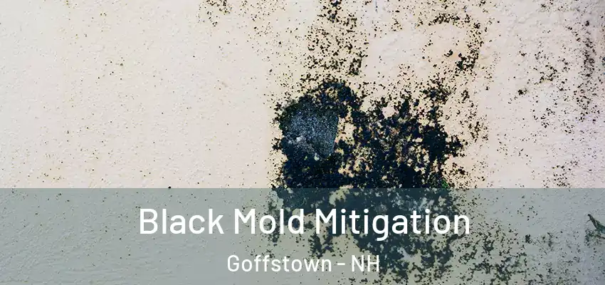  Black Mold Mitigation Goffstown - NH
