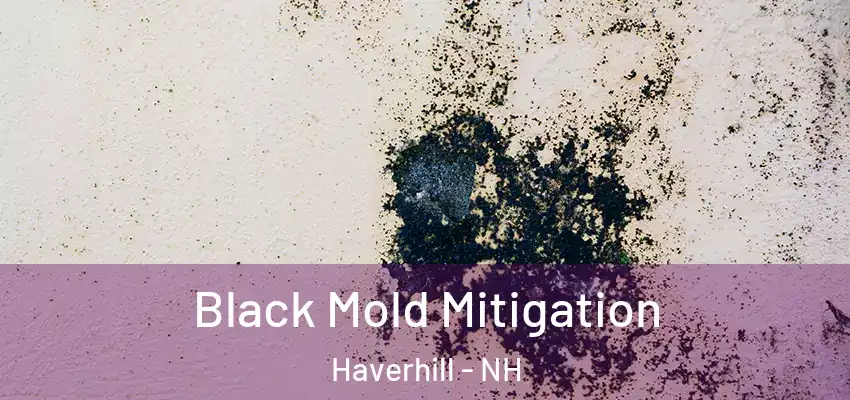  Black Mold Mitigation Haverhill - NH
