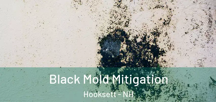Black Mold Mitigation Hooksett - NH